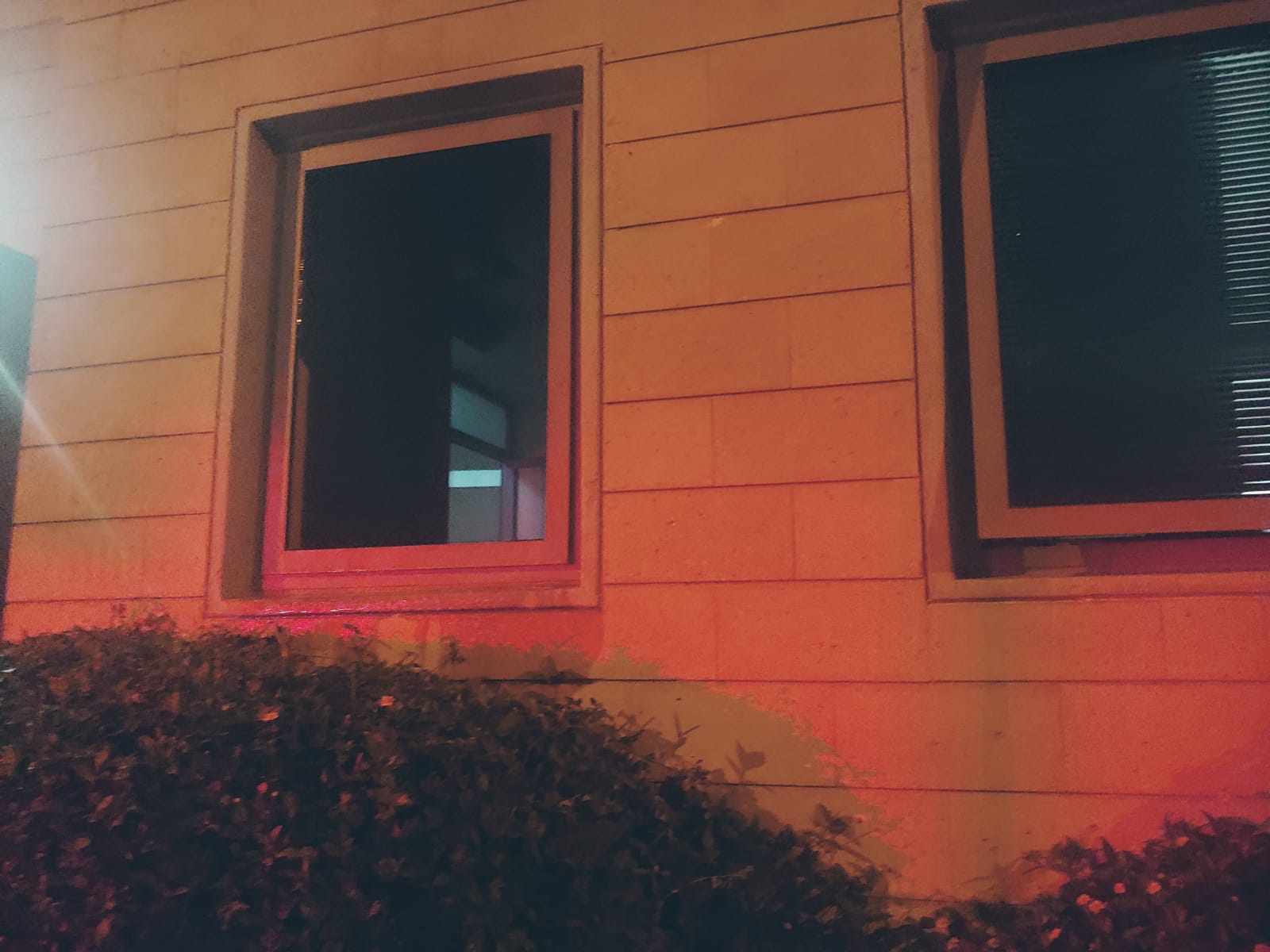 WhatsApp Image 2020-06-13 at 1.29.24 PM.jpeg.jpeg